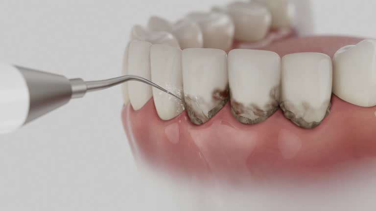 Reliable Dental contractor in Green Cove Springs, FL by Dentist Open Now